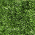 Haie artificielle Vert sapin - H 1,50m et 2m - L 3m