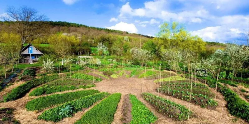 La permaculture