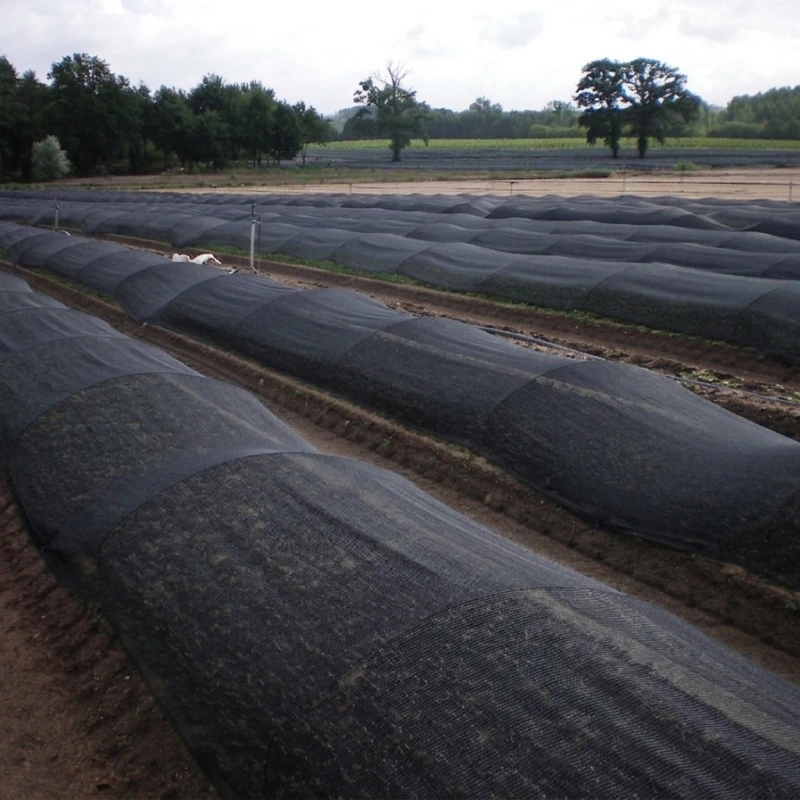 Filet d'ombrage spécial Mâche Ombrex 50 - Largeur 1,60m