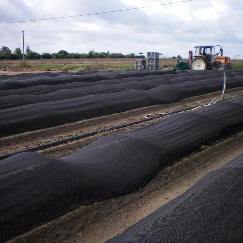 Filet d'ombrage spécial Mâche Ombrex 50 - Largeur 1,60m