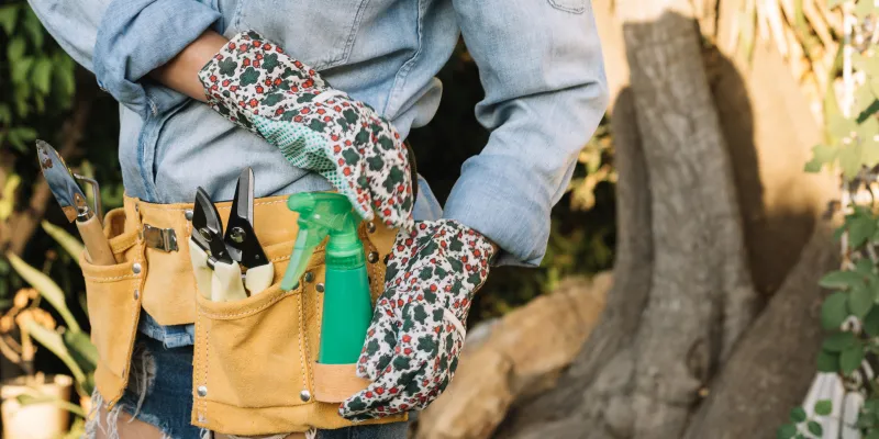 Prévention des maladies au jardin selon les saisons