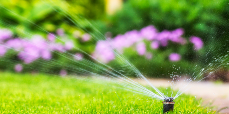 Refaire son gazon et installer un arrosage enterré