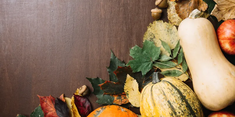 Le potager d'automne