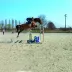 Dalle à engazonner Runfloor - Ep 3cm