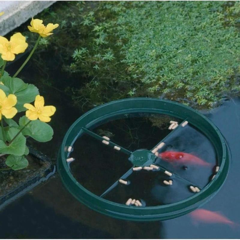 Anneau à nourriture pour poissons