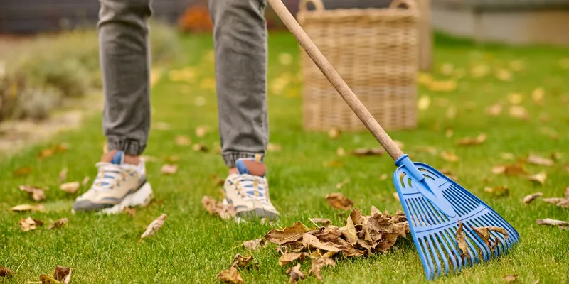 Ramasser, broyer et valoriser les feuilles mortes