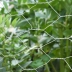 Grillage hexagonal galvanisé pour poules et lapins