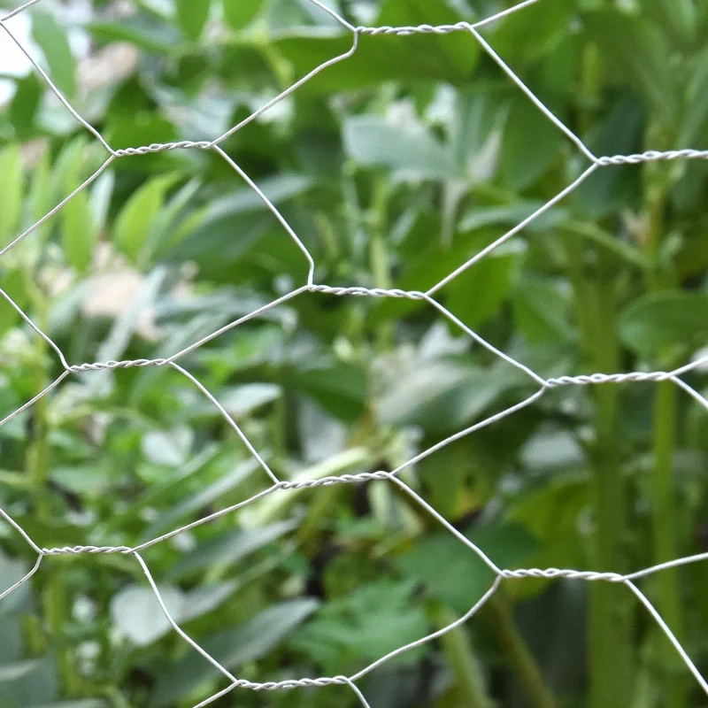 Grillage hexagonal galvanisé pour poules et lapins