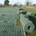 Grille de renforcement pour gazon - GrassProtecta 11KN - Terram