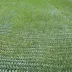 Grille de renforcement pour gazon - GrassProtecta 11KN - Terram
