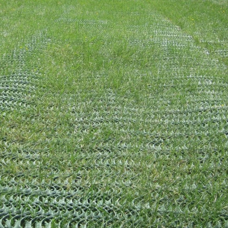 Grille de renforcement pour gazon - GrassProtecta 11KN - Terram
