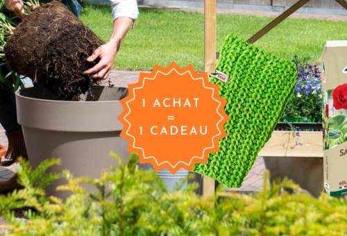 Slider DCM cadeau tour de cou