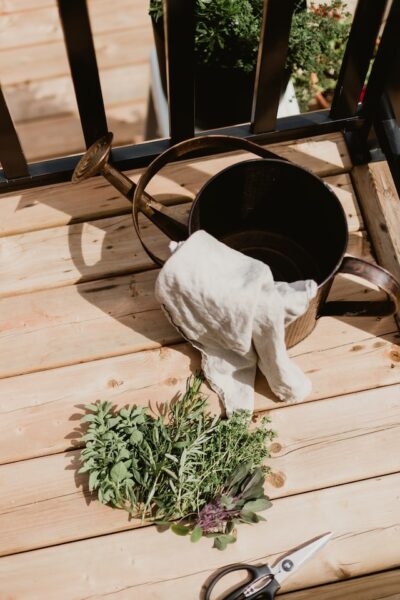 Récolter et conserver des noisettes - Jardinet - Équipez votre jardin au  meilleur prix