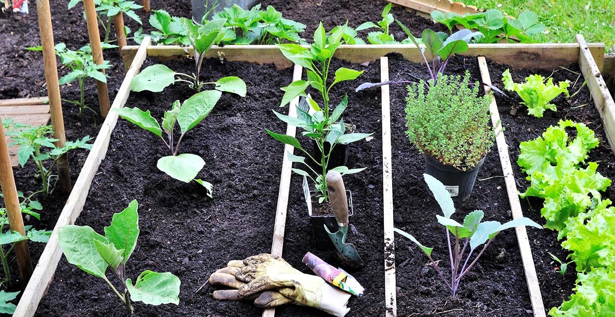 Des kits de plantation pour jardiner même sans extérieur - Elle