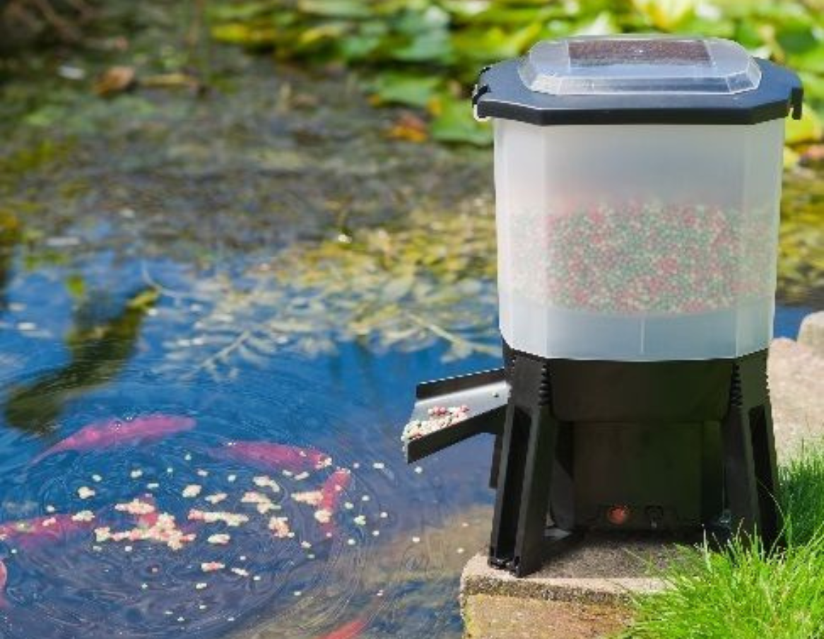 Distributeur automatique de nourriture pour poissons solaire - Jardinet -  Équipez votre jardin au meilleur prix