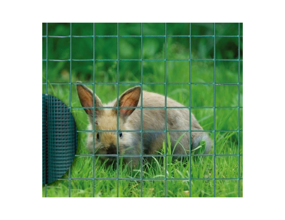 Grillage à lapins, cage petits animaux (Rouleau 25m)