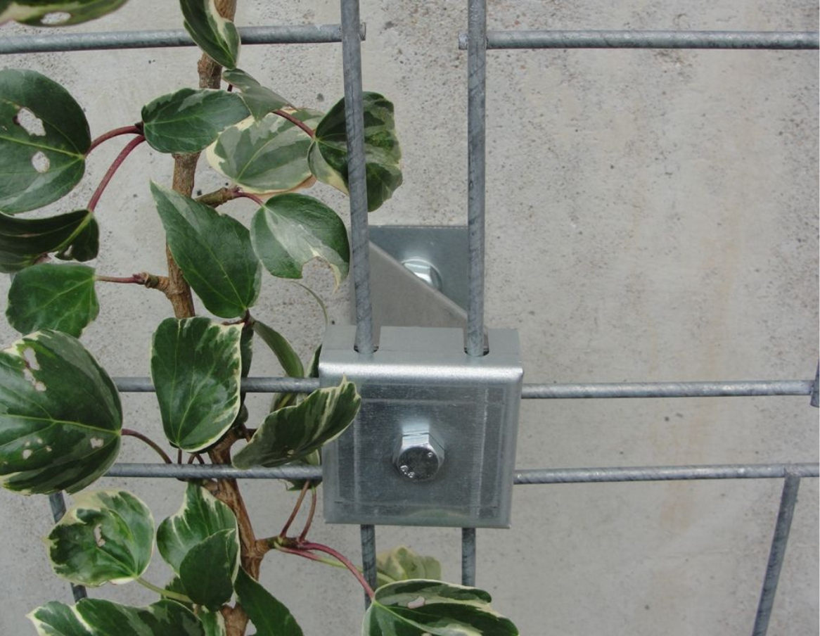 Grille de support en acier galvanisé pour plante grimpante - Jardinet -  Équipez votre jardin au meilleur prix