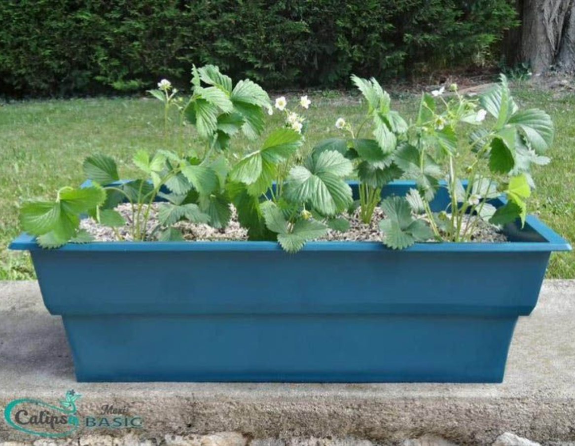 Jardinière avec Panier 4 L + Kit Outils de Jardin 40L Mini junior Calipso  Gris et Bleu Pastel Polypropylène - 81 x 39 x 50 cm