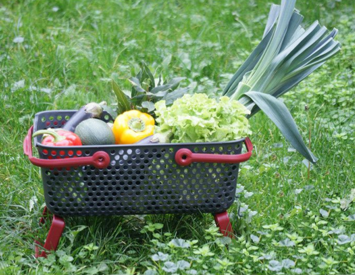 Les filets de protection et de récolte - Jardinet - Équipez votre jardin au  meilleur prix