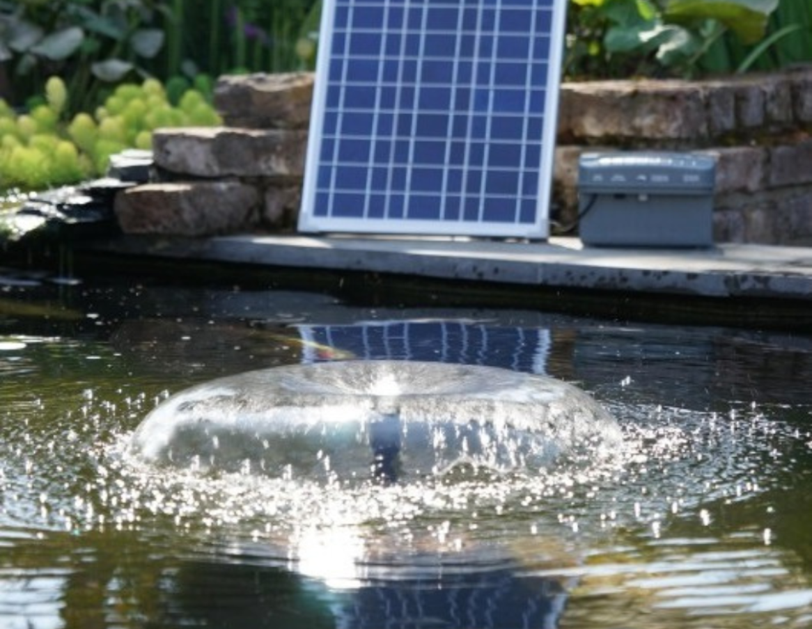 Pourquoi installer une pompe solaire pour bassin ?
