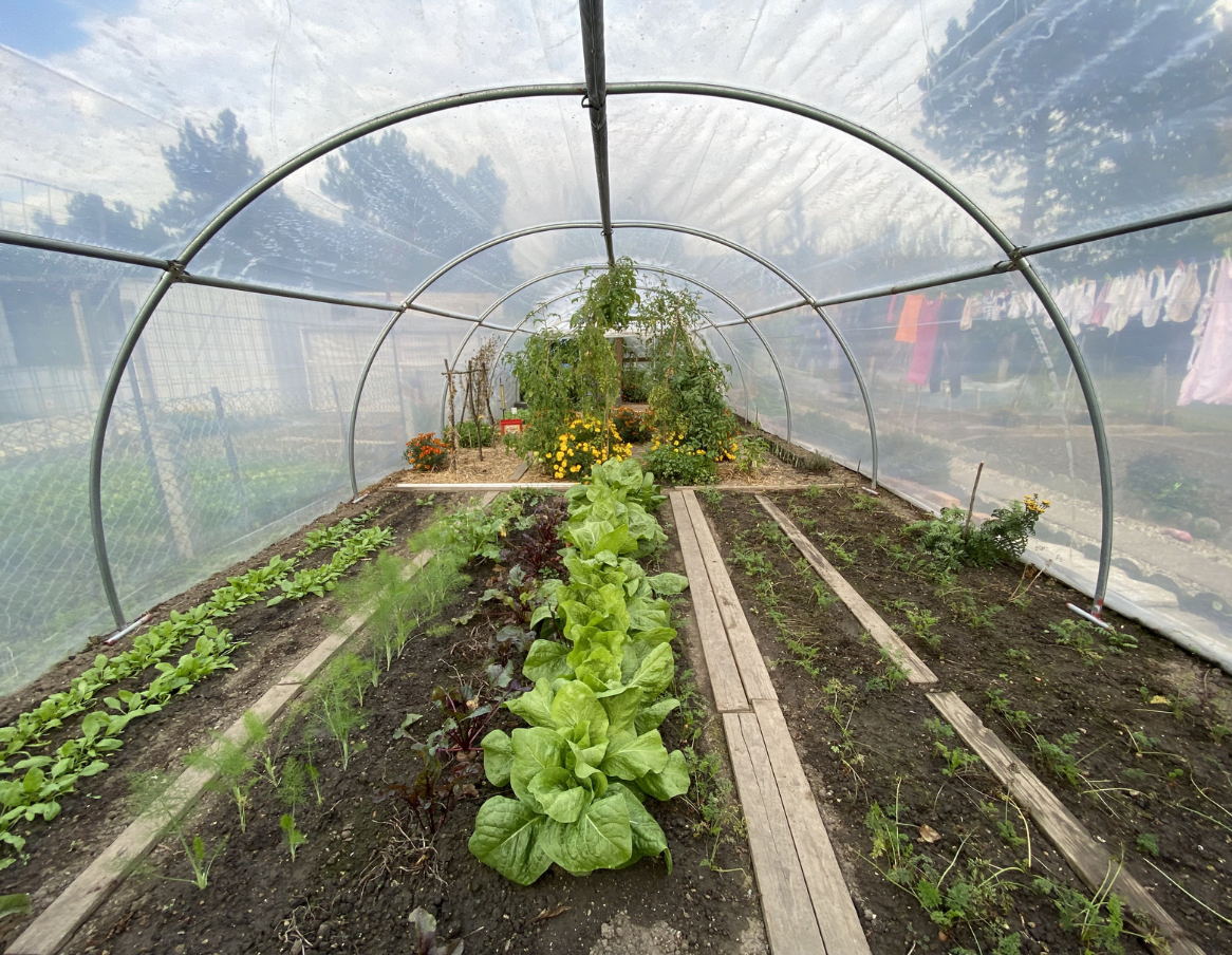 Kit de palissage pour plantes - Jardinet - Équipez votre jardin au meilleur  prix