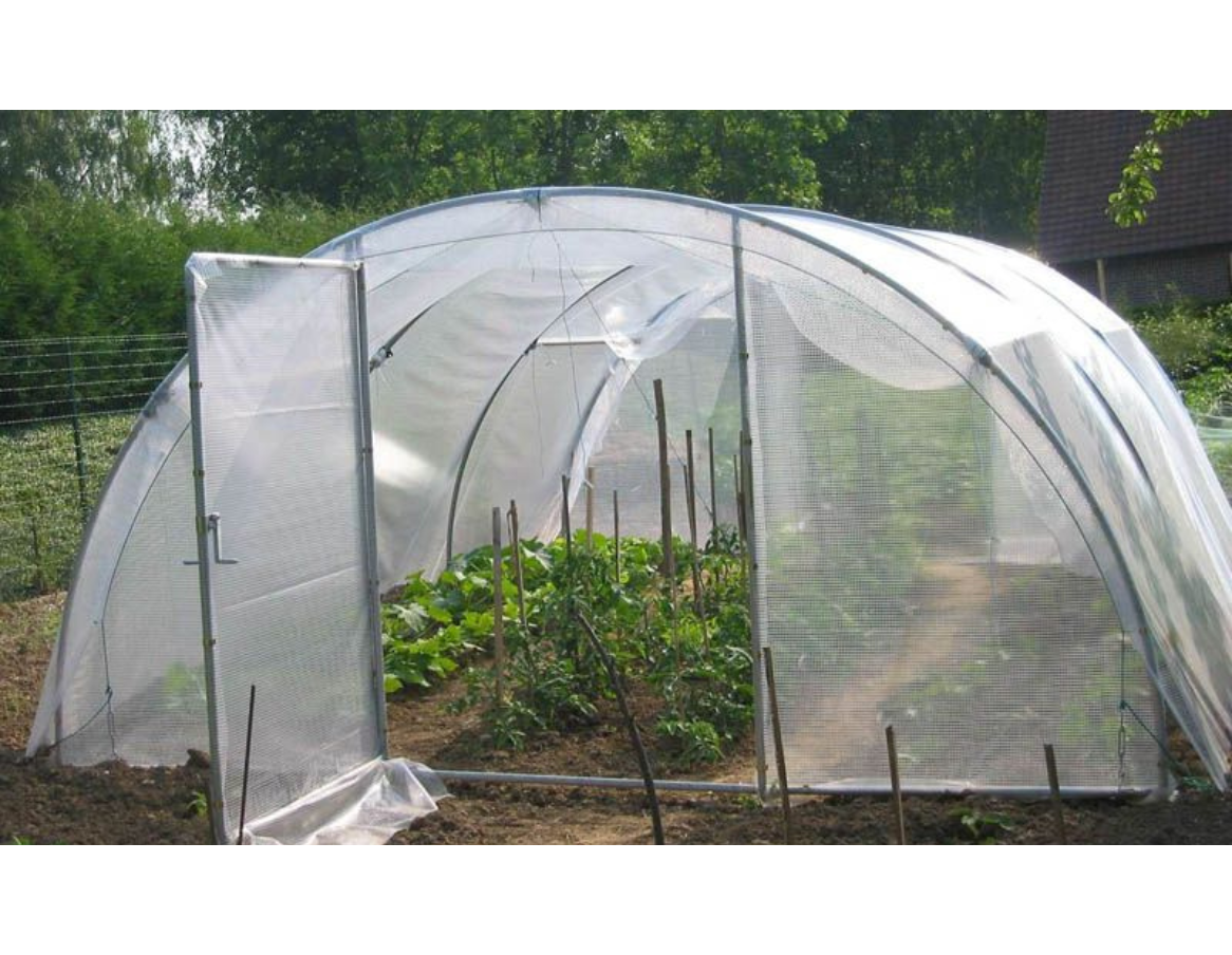 Kit de palissage pour plantes - Jardinet - Équipez votre jardin au meilleur  prix