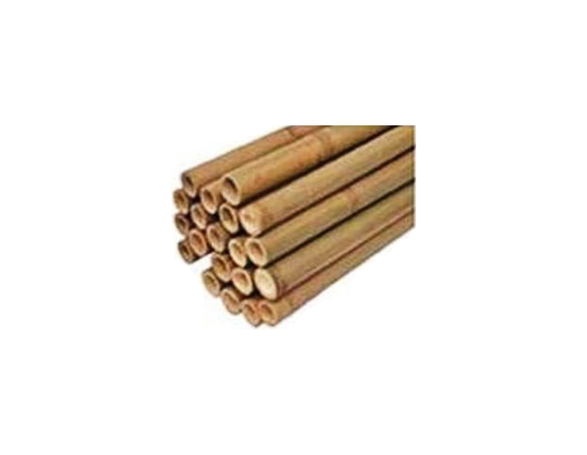 Tuteurs en bambou Ø 8 à 24mm - 10 pièces